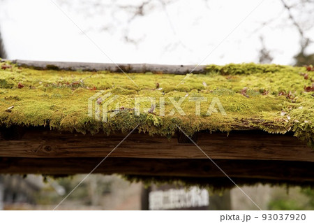 苔むした屋根 93037920