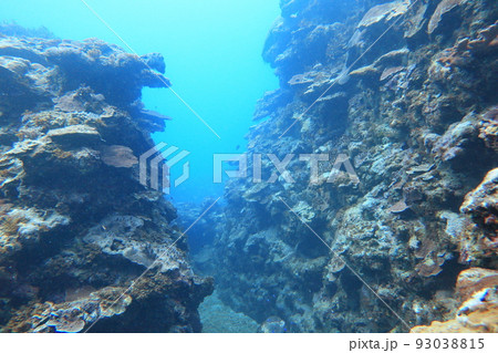シュノーケリング スノーケリング スキューバーダイビング 93038815
