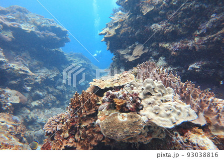 シュノーケリング スノーケリング スキューバーダイビング 93038816