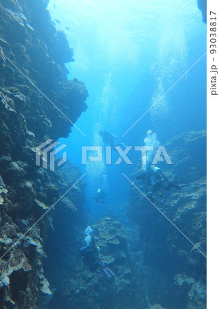 シュノーケリング スノーケリング スキューバーダイビング 93038817
