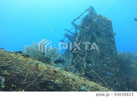 遺物 シュノーケリング スノーケリング 93038823