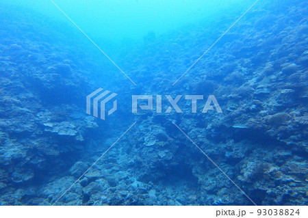 シュノーケリング スノーケリング スキューバーダイビング 93038824