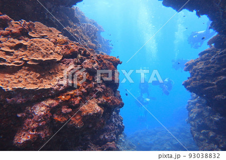 シュノーケリング スノーケリング スキューバーダイビング 93038832