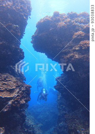 シュノーケリング スノーケリング スキューバーダイビング 93038833