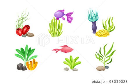 Sea Coral and Algae Growing on the Ocean Bottom Vector Composition Set Sea Coral and Algae Growing on the Ocean Bottom Vector Composition Set 93039023