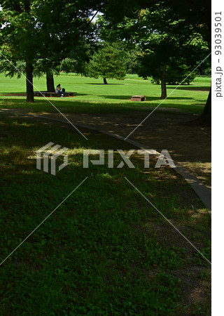 夏色の風景 夏色の風景 93039501