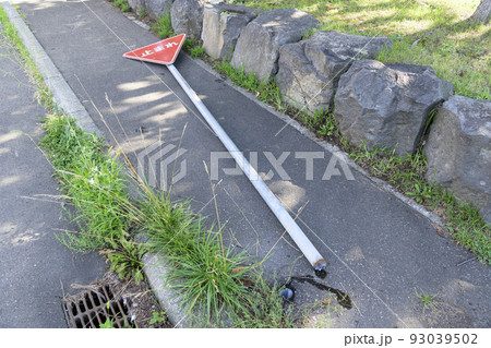 倒れた道路標識(犬のおしっこによる腐食事故) 倒れた道路標識(犬のおしっこによる腐食事故) 93039502