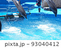 いるかショー 93040412