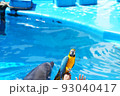 とり 93040417