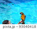 とり 93040418