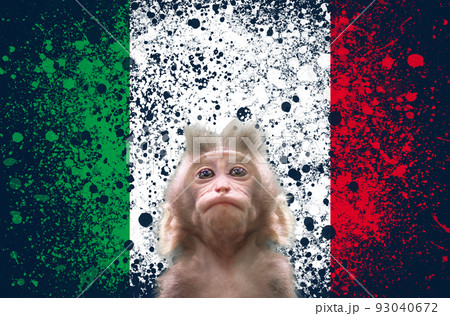A new outbreak of viral infection at Italia, monkey pox. Small monkey looks up at italian flag background. Copy space. The concept of monkeypox, pandemic and transmissible virus A new outbreak of viral infection at Italia, monkey pox. Small monkey looks up at italian flag background. Copy space. The concept of monkeypox, pandemic and transmissible virus 93040672