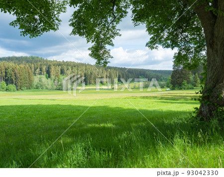 Black forest, Germany - May 28th 2022: View over a wide valley towards a coniferous forest 93042330