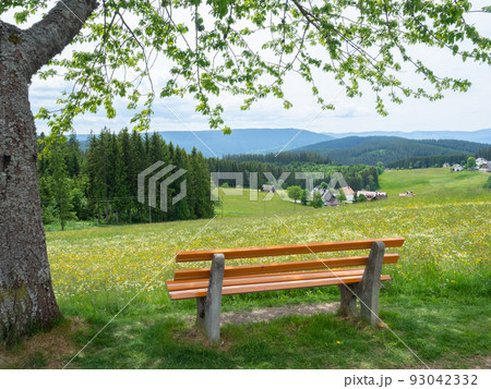 Black forest, Germany - May 28th 2022: Fantastic view over a wildflower meadow into the wide landscape 93042332