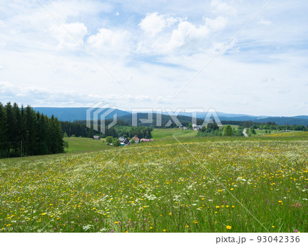 Black forest, Germany - May 28th 2022: Fantastic view over a wildflower meadow into the wide landscape 93042336