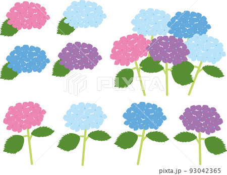あじさい 93042365