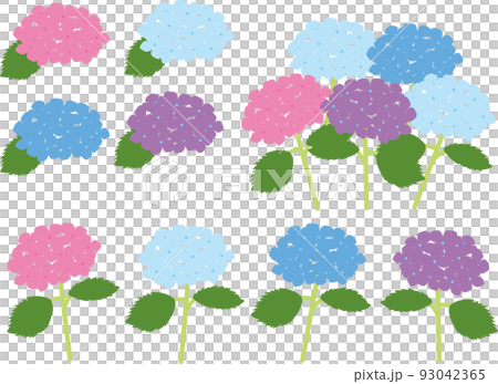 あじさい 93042365