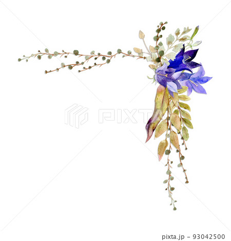 Watercolor frame arrangement with hand drawn autumn petunia and bluebell flowers, branches and leaves. Isolated on white background. Design for invitations, wedding, greeting cards, wallpaper, print 93042500