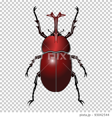 Beetle Beetle 93042544