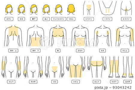 女性の脱毛イラスト　パーツ別、顔脱毛・VIO・上半身・下半身 93043242