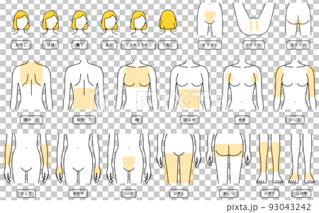 女性の脱毛イラスト　パーツ別、顔脱毛・VIO・上半身・下半身 93043242