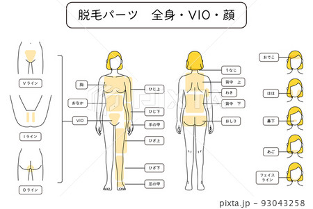 女性の脱毛イラスト　全身・VIO・顔 93043258