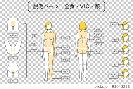 女性の脱毛イラスト　全身・VIO・顔 93043258