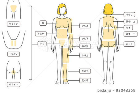 女性の脱毛イラスト　全身とVIO 93043259