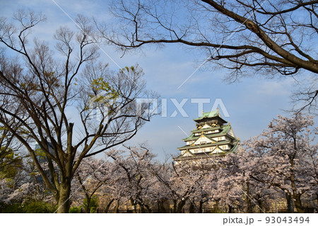 日本の大阪府 春の大阪城 満開の桜と青空と立派な天守閣 日本の大阪府 春の大阪城 満開の桜と青空と立派な天守閣 93043494