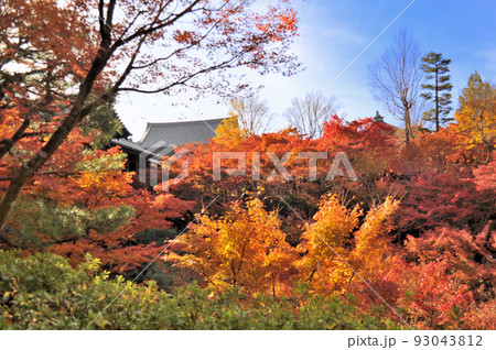 京都府 東福寺の紅葉 京都府 東福寺の紅葉 93043812