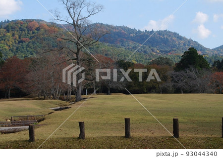 秋の奈良公園の風景 93044340