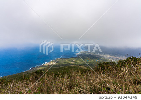 八条富士 93044349