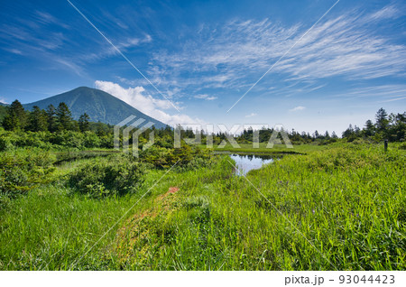 睡蓮沼から見る八甲田山蓮峰の高田大岳 睡蓮沼から見る八甲田山蓮峰の高田大岳 93044423