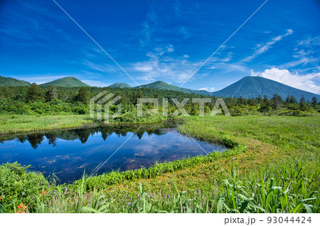 睡蓮沼から見る八甲田山蓮峰 睡蓮沼から見る八甲田山蓮峰 93044424