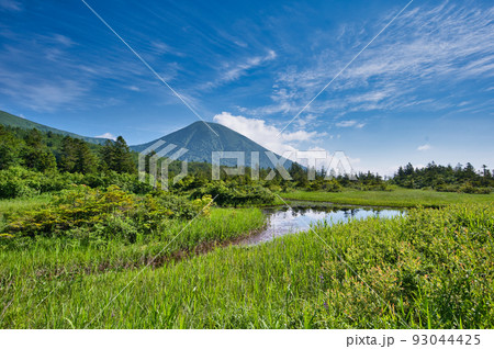 睡蓮沼から見る八甲田山蓮峰の高田大岳 睡蓮沼から見る八甲田山蓮峰の高田大岳 93044425