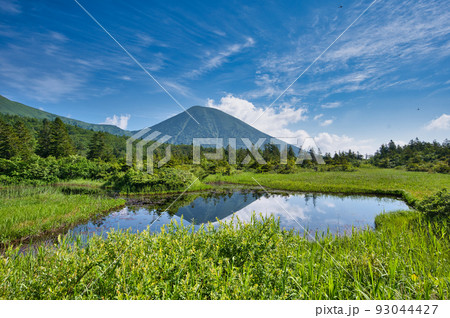睡蓮沼から見る八甲田山蓮峰の高田大岳 睡蓮沼から見る八甲田山蓮峰の高田大岳 93044427