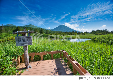 睡蓮沼から見る八甲田山蓮峰の高田大岳 睡蓮沼から見る八甲田山蓮峰の高田大岳 93044428