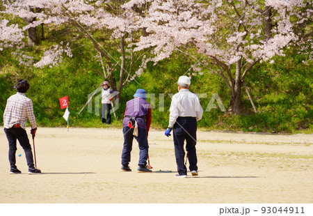 満開の桜の下でゲートボールを楽しむ高齢者 93044911