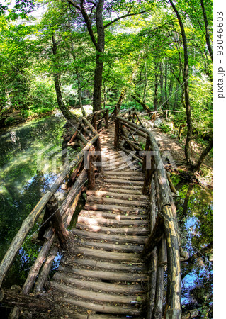 Wooden footbridge in forest at .Strandzha nature park in Bulgaria 93046603