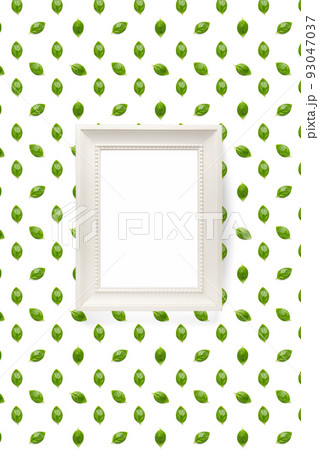 Basil. Green leaves of fresh italian basil background on whte backdrop. Basil leaves isolated on white background. flat lay 93047037