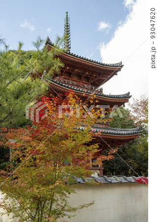 紅葉と三重塔 紅葉と三重塔 93047620
