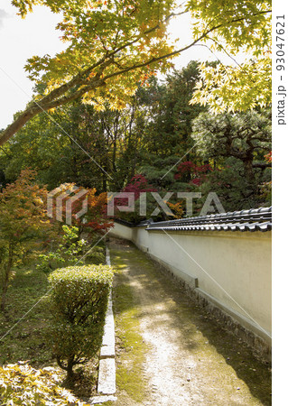 秋の庭園 秋の庭園 93047621