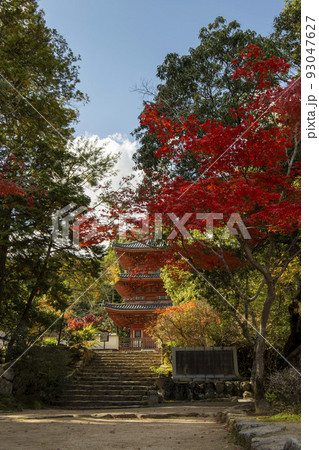 秋の宝福寺 秋の宝福寺 93047627