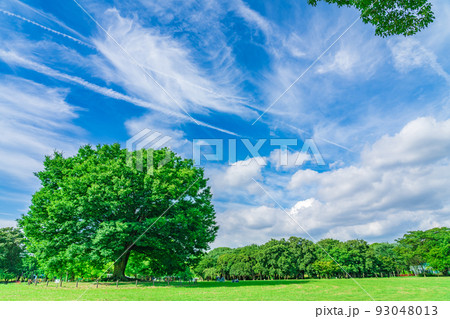 広々とした緑あふれる、庄内緑地公園〈愛知県名古屋市〉 93048013
