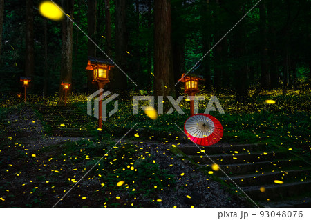 灯篭とヒメボタルと和傘　二岡神社 93048076