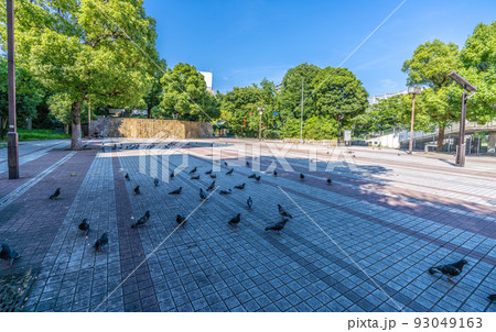 日本の川崎都市景観 緑に包まれた川崎の稲毛神社(画面奥)の横にある稲毛公園。日陰に涼む鳩…=8月9日 日本の川崎都市景観 緑に包まれた川崎の稲毛神社(画面奥)の横にある稲毛公園。日陰に涼む鳩…=8月9日 93049163