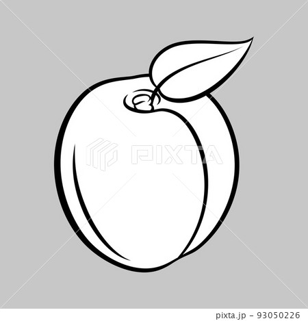 Apricot Icon 93050226