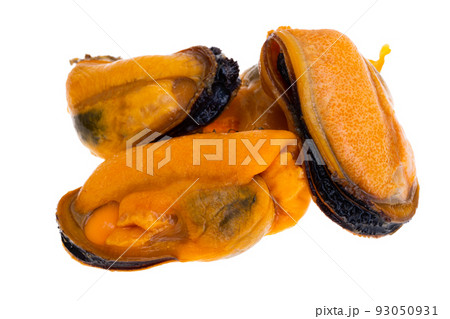mussels isolated mussels isolated 93050931