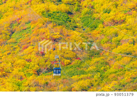 秋の立山黒部アルペンルート　錦秋の立山ロープウェイ 93051379