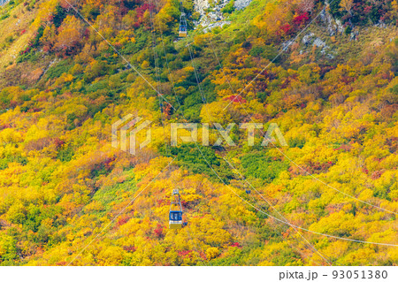 秋の立山黒部アルペンルート　錦秋の立山ロープウェイ 93051380