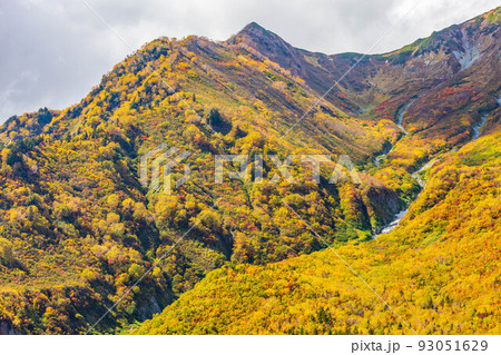 秋の立山黒部アルペンルート 黒部平パノラマテラスからの眺望 秋の立山黒部アルペンルート 黒部平パノラマテラスからの眺望 93051629